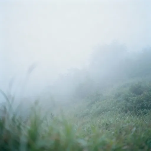 Prompt: به عکس مه اضافه کن 