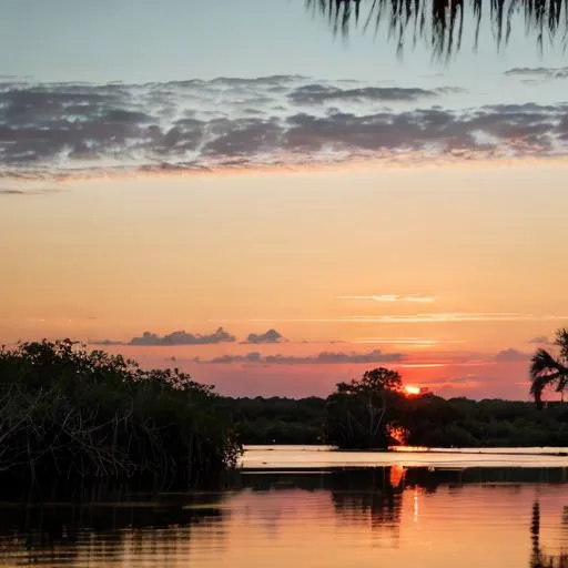 Prompt: A picturesque Florida scene with a vibrant orange and pink sunset reflecting off the calm waters of the Everglades, lush mangrove forests lining the shores, a diverse array of wildlife including herons and alligators, and in the distance, the silhouette of palm trees against the fading light of the day