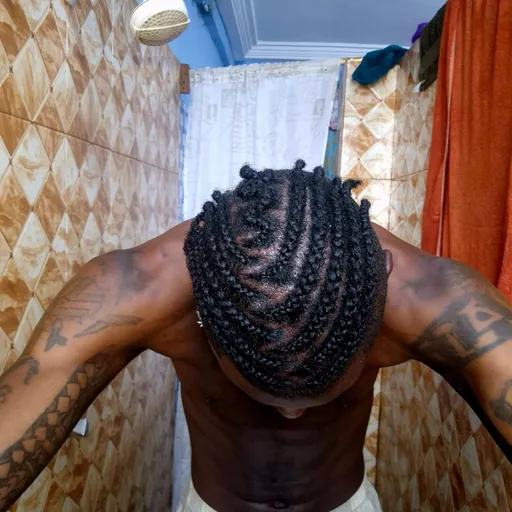 Prompt: Men Full Head Braids By ALi Boubacar