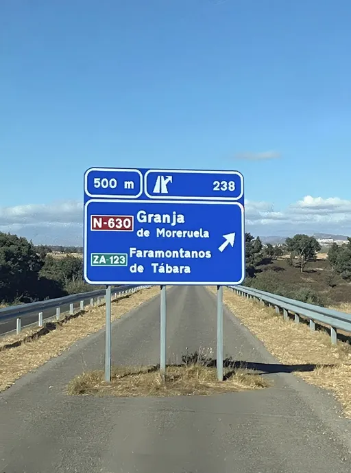 Prompt: PASÉ POR ZAMORA, Y ME ACORDÉ TUYA