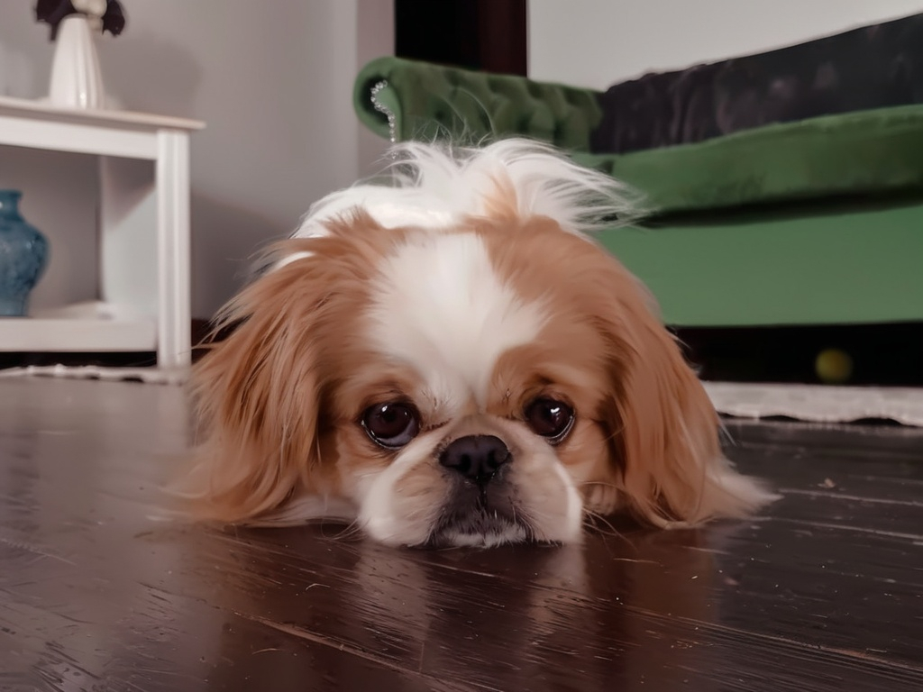 Prompt: A Pekingese dog.

 Utilize a DSLR camera to meticulously capture every intricate detail, producing a dynamic portrait that exudes an epic aesthetic. Employ HDR and long shot techniques to enhance realism and depth, resulting in a masterpiece of unparalleled quality and resolution