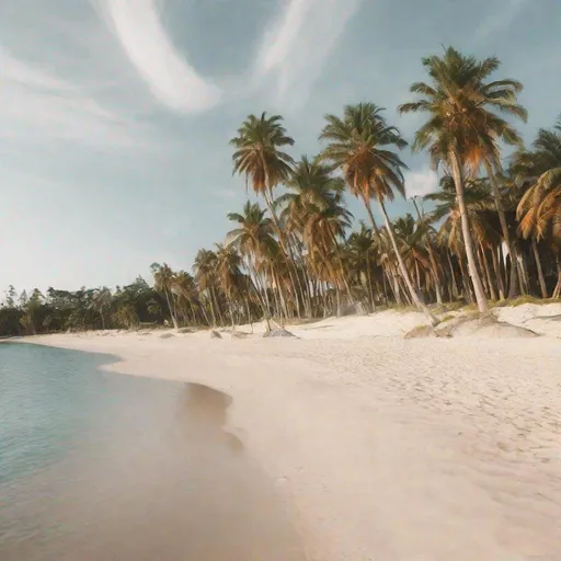 Prompt: the beach with palm trees