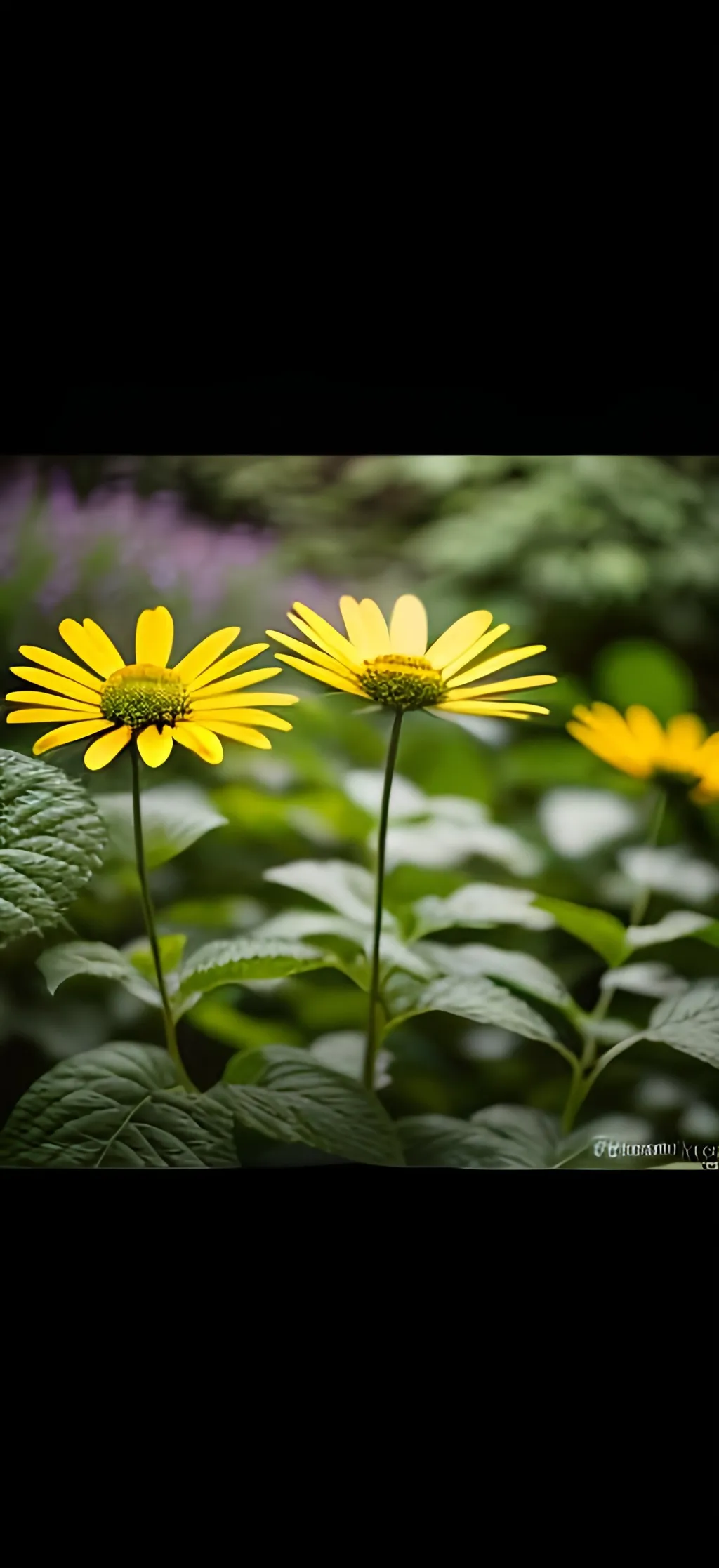 Prompt: Garden, Flowers