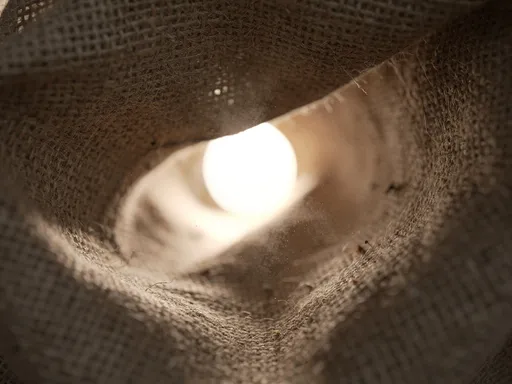 Prompt: Canvas of sack from inside of the sack