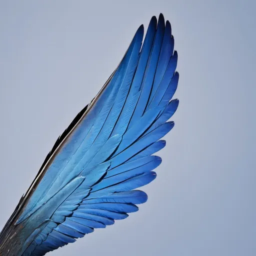 Prompt: A large birds wing that is blue and nothing else