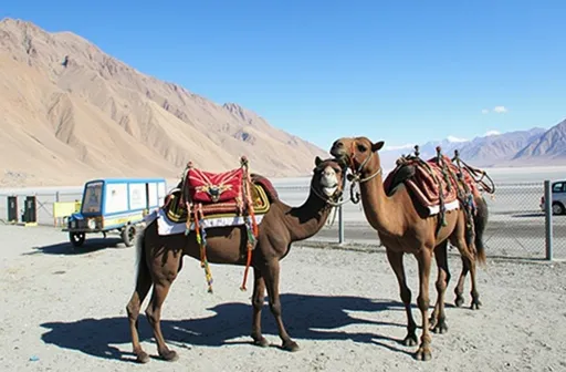Prompt: 10 days 9 nights trip to leh ladakh