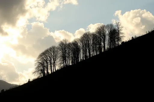 Prompt: Landscape, silhouetted inclined ridge with a row of denuded tall trees, starkly contrasted against sky, dramatic volumetric light and clouds