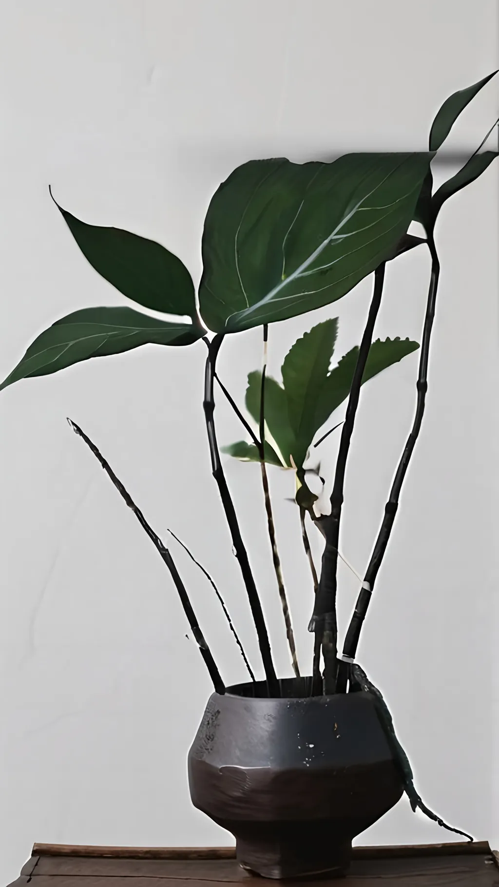 Prompt: plants wabi sabi japandi art