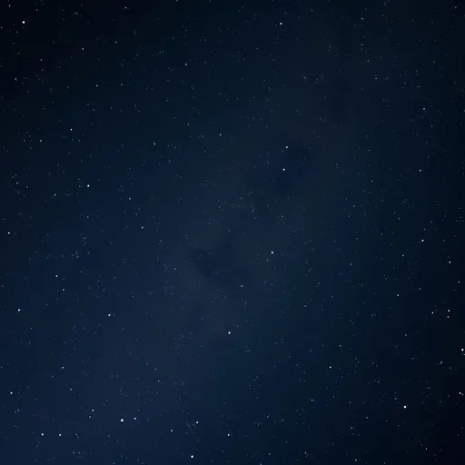 Prompt: a dark but starry night sky (high definition)