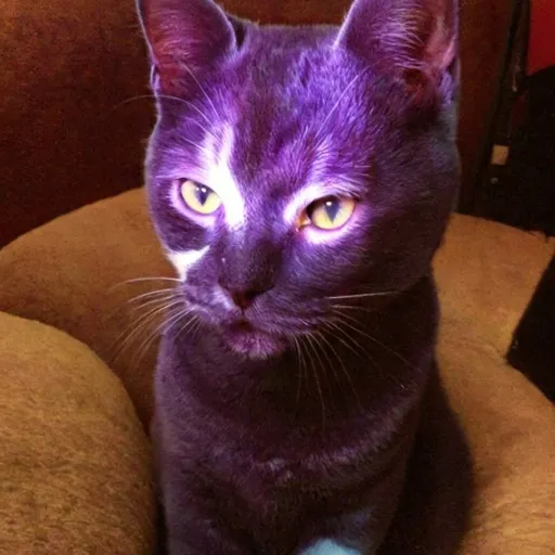 Prompt: cosmic purple cat, not too realistic, more catoon-like