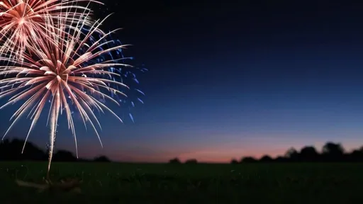 Prompt: Fireworks shooting up from the ground on the left side and right side of the image with an evening sky background.