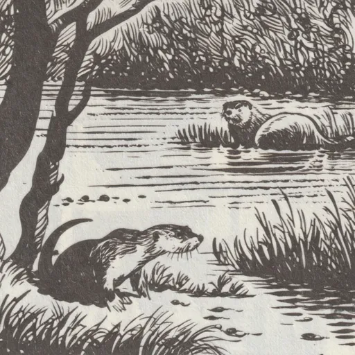 Prompt: Inkdrawing, river otter, riparian scene, close up of otter