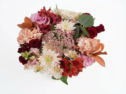 Prompt: enhance this. make it clear and high resolution white background and ready for web