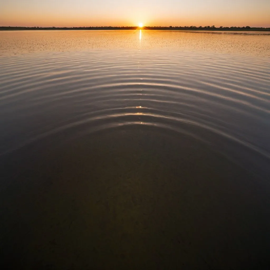 Prompt: strange water, overhead golden hour lighting, extra wide angle field of view, infinity vanishing point