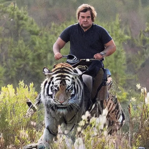 Image similar to jack black riding a tiger