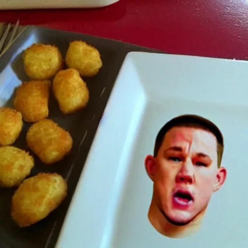 Image similar to channing tatum's face as tater tot on a plate with ketchup, face made from tater tot