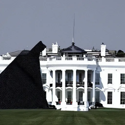 Prompt: christo and Jean Claude wrap the Whitehouse in black metallic fabric