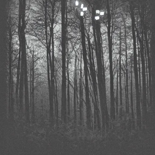 Image similar to grainy surveillance photo still of an alien in the woods at night hiding in the trees of a forest, low contrast, atmosphere, moonlight through trees