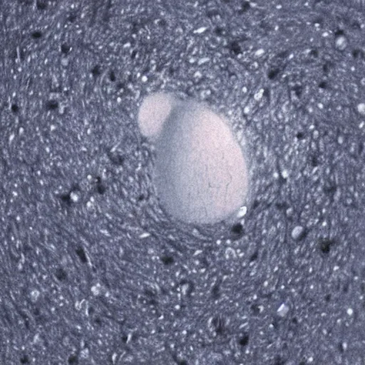 Image similar to some billion years ago, an anonymous speck of protoplasm protruded the first primitive pseudopodium into the primaeval slime, and perhaps the first state of uncertainty occured.