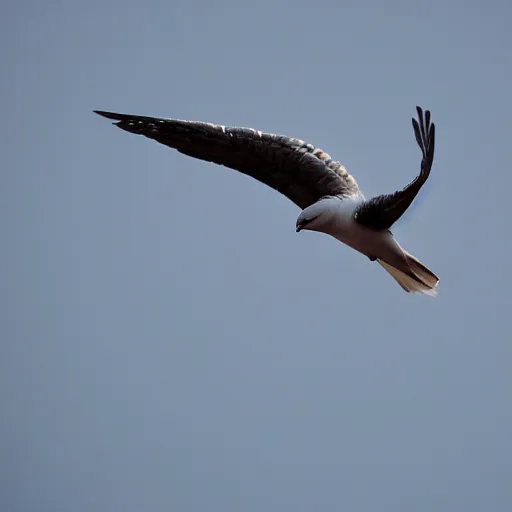 Image similar to professional bird photography taylor swift as a swift soaring through the sky, award winning nature photographer alejandro prieto