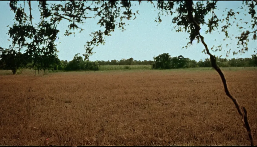 Prompt: 7 0 s film still from a movie about rural louisiana, kodachrome, cinecolor, cinestill, film grain, film texture, retro, cinematic, high resolution, photorealism,