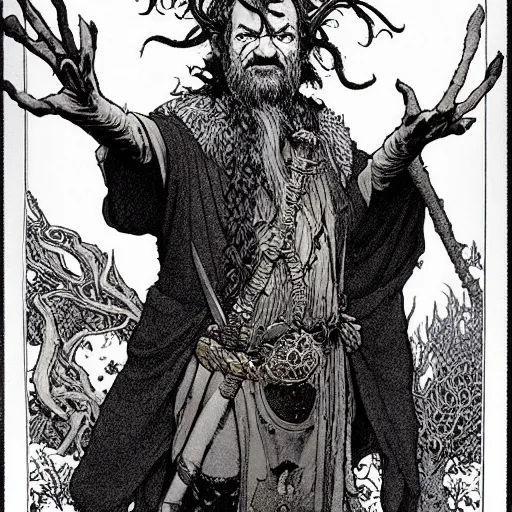 Image similar to a high fantasy portrait of bill murray as a mystical druidic warrior wizard giving the camera the finger by rebecca guay, michael kaluta, charles vess and jean moebius giraud