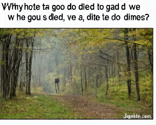 Image similar to Where do you go when you die