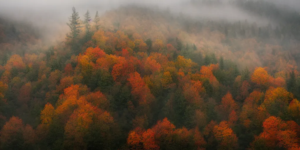 Prompt: foggy appalachian mountain landscape in autumn by andreas franke