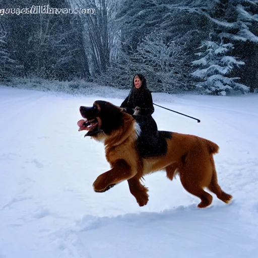 Image similar to girl riding giant Bernese Mountain Dog in the snow, trending on artstation