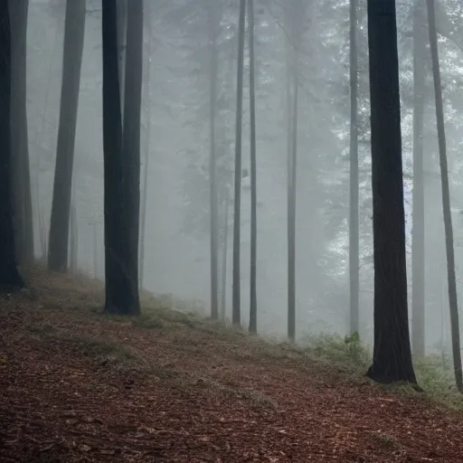 Image similar to Keanu reeves in The woods foggy but clear image 4k detailed