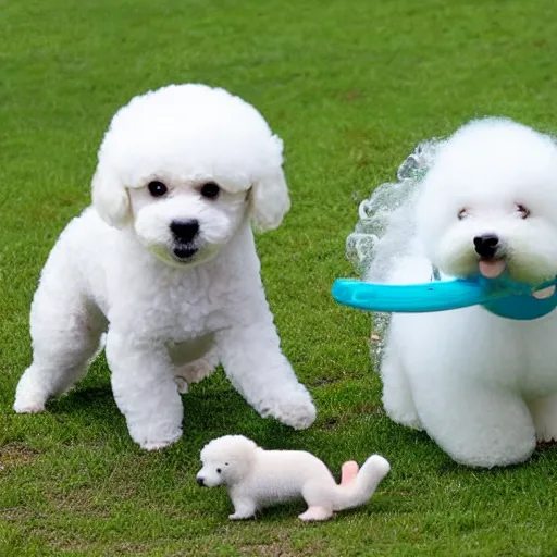 Prompt: bichon puppy playing with a baby platypus