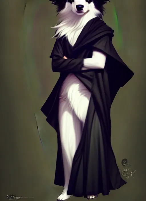 Image similar to wide angle beautiful full body portrait of a cute male anthropomorphic anthro border collie fursona wearing black robes, character design by charlie bowater, henry asencio, and ross tran, furry art, furaffinity, beautiful, glamor pose, detailed, aesthetic, trending on artstation