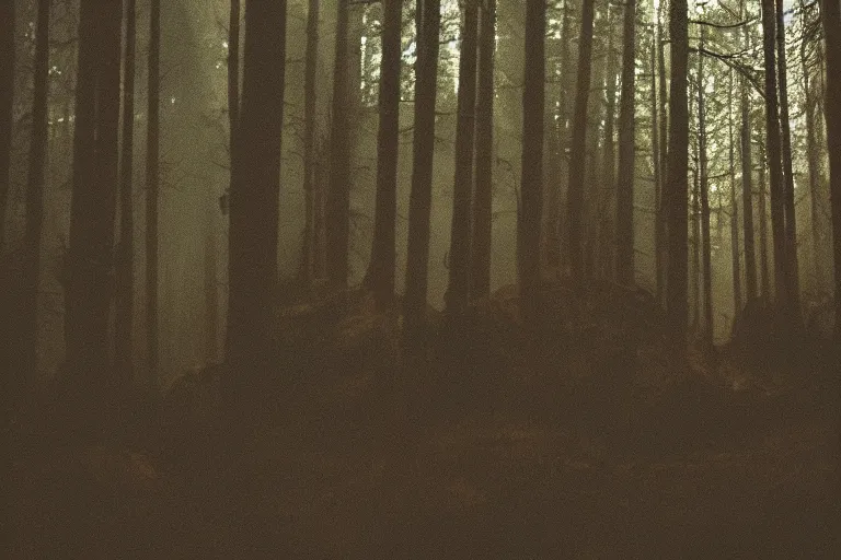 Image similar to terrible dark forest in the depths of which there is a Pudge from Dota 2 filmed hidden on a phone camera, Cinematic, wildlife photography, 35mm, photo on iphone