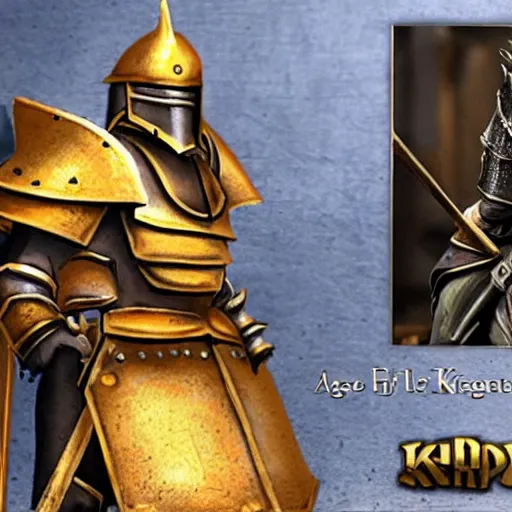 Prompt: Age of empires II DE paladin knight in real life n-4