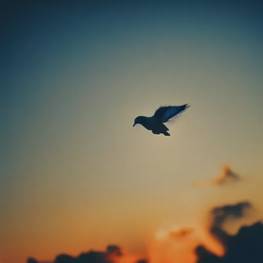 Prompt: Close-up realistic shot of a radiant white dove flying over the clouds at sunset, ethereal, vintage photograph, film grain, surreal, awe-inspiring, highly detailed, blue and orange color scheme