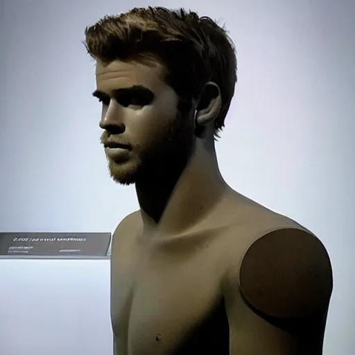 Image similar to “a realistic detailed photo of a guy who is an attractive humanoid who is half robot and half humanoid, who is a male android, actor Liam Hemsworth, shiny skin, posing like a statue, blank stare, at the museum, on display”