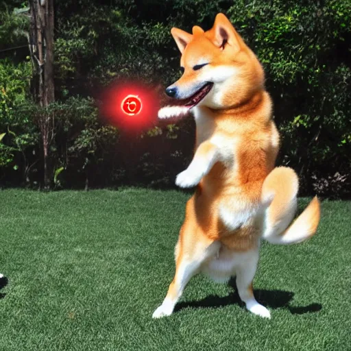 Image similar to photo of a real life ssj2 shiba inu shooting a kamehameha