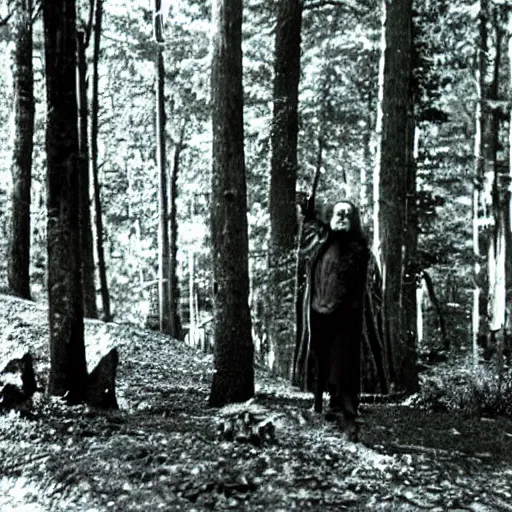 Prompt: wizard in forest, photo from the 70s