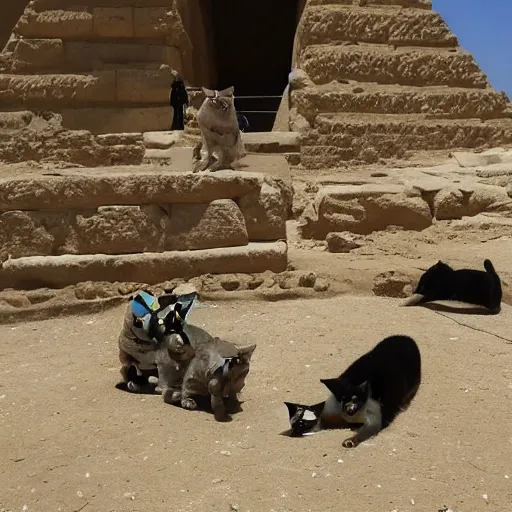 Image similar to an Egyptian pyramid for cats