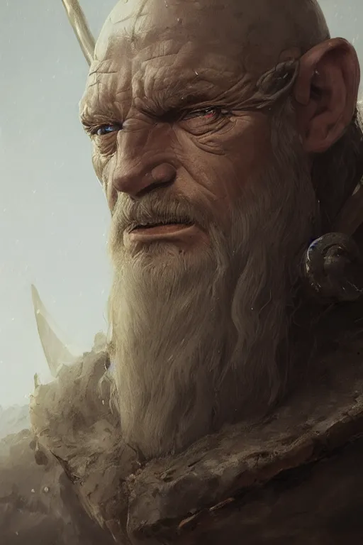 Image similar to portrait, face of a old viking King, face portrait, raphael lacoste, eddie mendoza, alex ross, concept art, matte painting, highly detailed, rule of thirds, dynamic lighting, cinematic, detailed, denoised, centerd