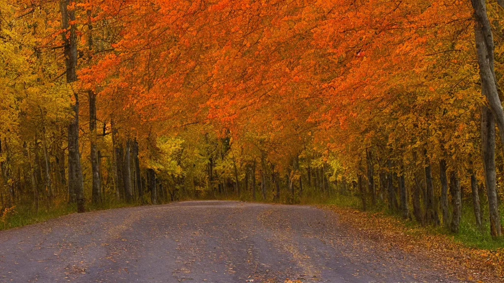 Prompt: a photograph of a country road lined on both sides by maple and poplar trees, in the autumn, red orange and yellow leaves, some leaves have fallen and are under the trees and on the road