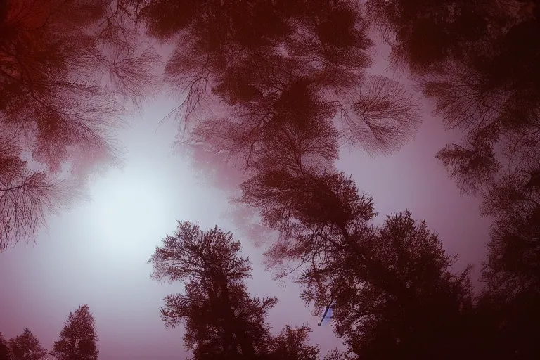 Image similar to huge red giant japanese fishes are flying between the tall trees of a deep forest at night. Looking up view, dramatic perspective.misty, mood.