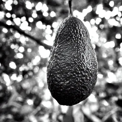 Prompt: nikocado avocado in the forest staring at me, night black and white