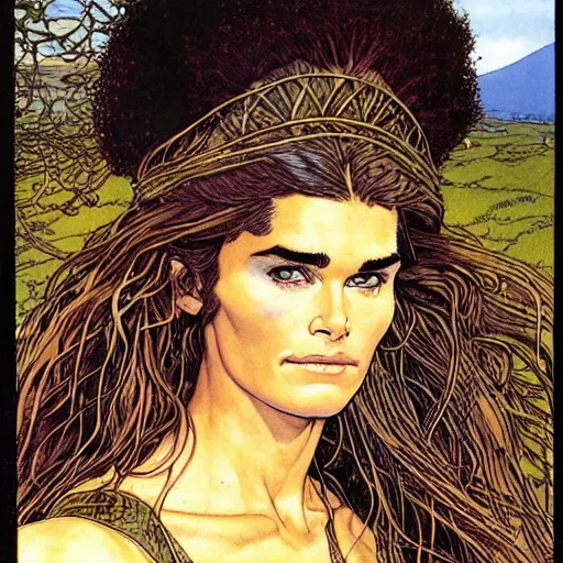 Image similar to a realistic, very beautiful and atmospheric portrait of young brooke shields aged 2 0 as a druidic warrior wizard looking at the camera with an intelligent gaze by rebecca guay, michael kaluta, charles vess and jean moebius giraud