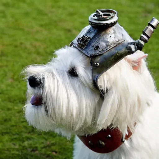 Image similar to west highland terrier dressed in iron armour with a gun attached to his head. gun on the head of westy.