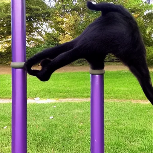 Prompt: black cat doing pole dance