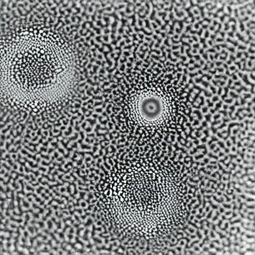 Prompt: hunahpu and xbalanque under an electron microscope, xerox