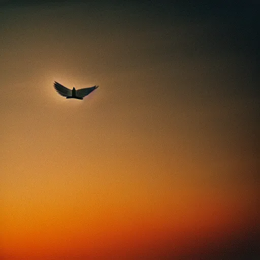 Image similar to Realistic shot of a radiant white dove flying over the clouds at sunset, ethereal, vintage photograph, film grain, surreal, awe-inspiring, highly detailed