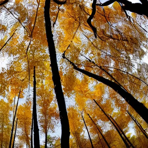 Prompt: fish - eye lens, in autumn, beautiful birch forest landscapes, falling leaves all over the sky, like flying butterflies, and like dancing elves flying and spinning in the sky