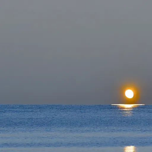 Image similar to a solar eclipse caused by a giant floating seal